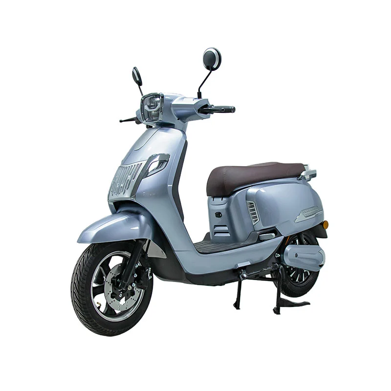 Yetişkinler için elektrikli motosiklet 10 inç 800w motosiklet